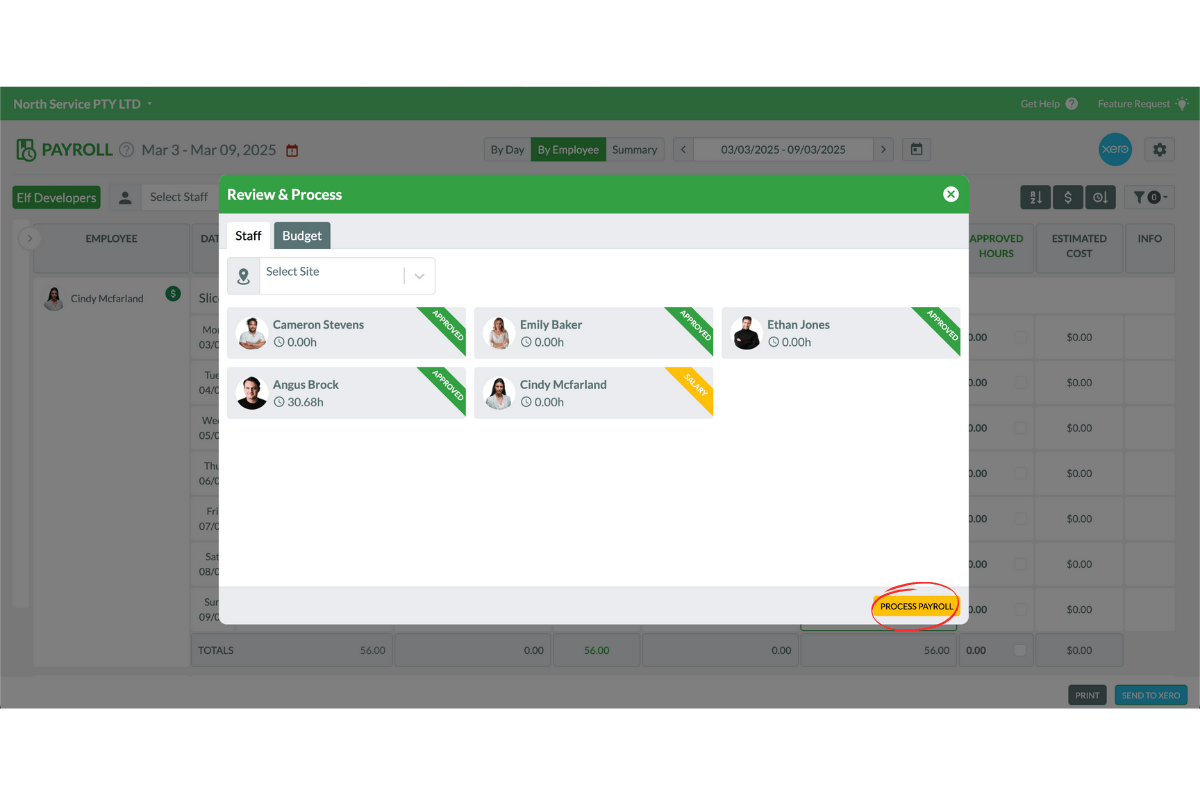 Confirm process payroll