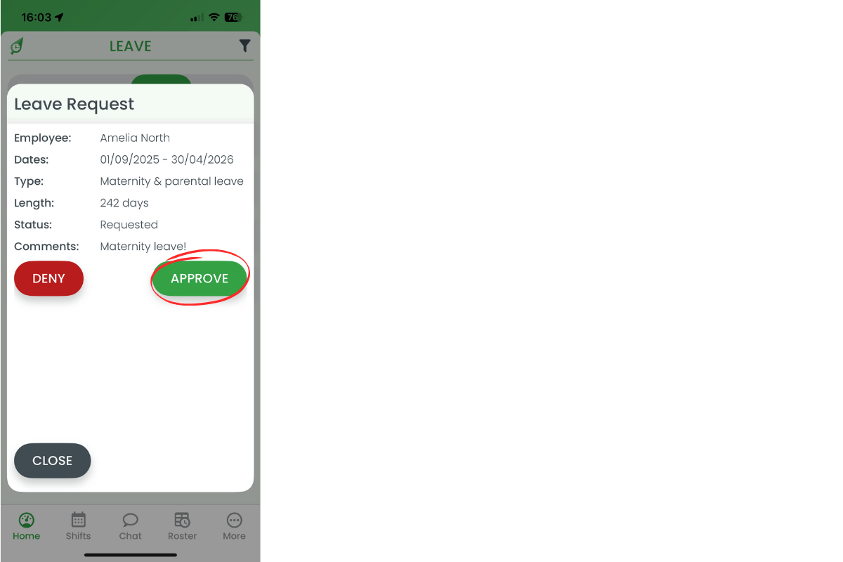 Approve button highlighted in leave request modal